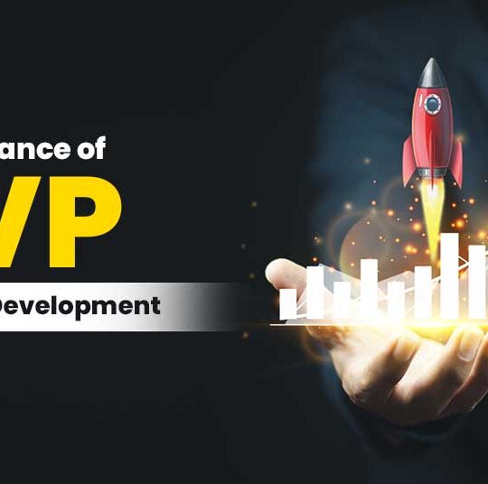 MVP in Software Development