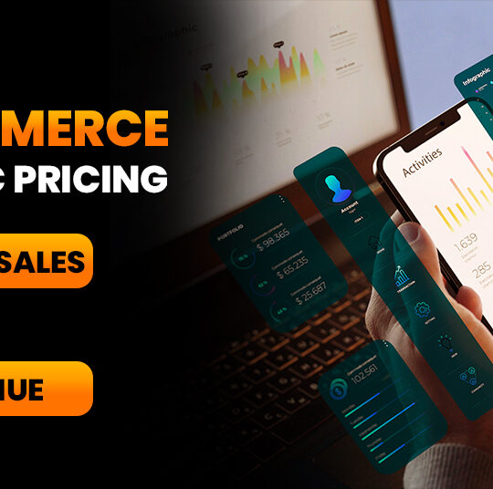 e-Commerce Dynamic Pricing