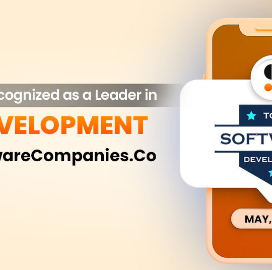 Top Web Development Company by TopSoftwareCompanies.Co in May 2024