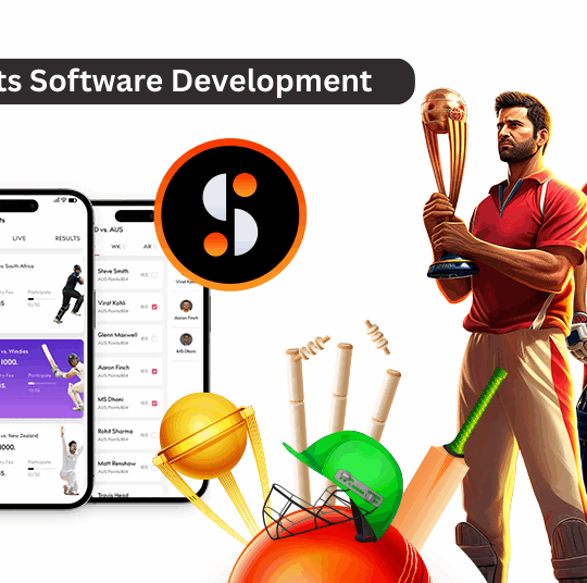 Fantasy Sports Software Development